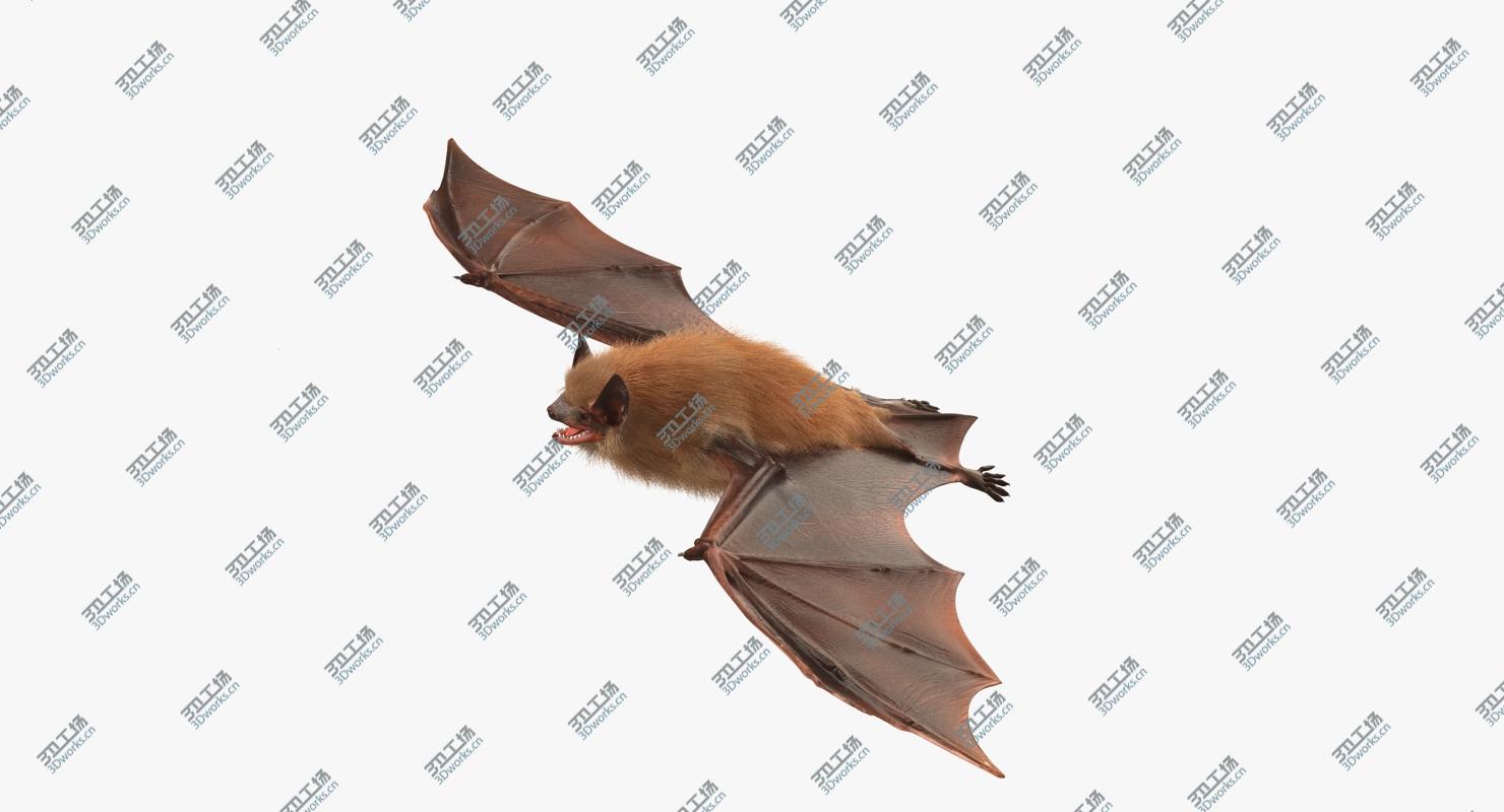images/goods_img/2021040162/Bat with Fur Rigged/3.jpg